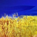Волонтерська діяльність в Україні