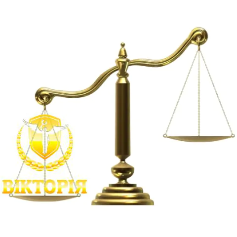 Судовий супровід