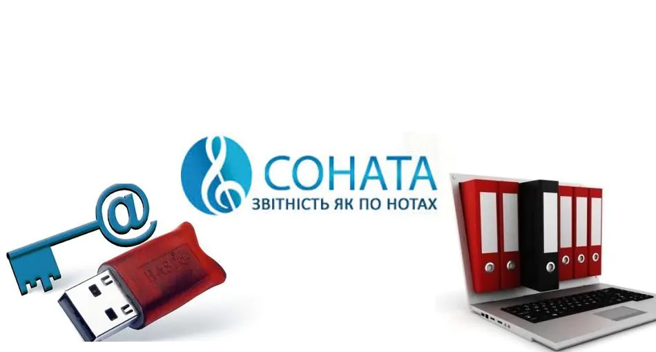 Звітність Соната